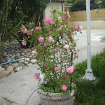 Les Galets D'evelyne Bed & Breakfast *