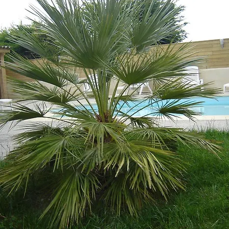 Les Galets D'evelyne