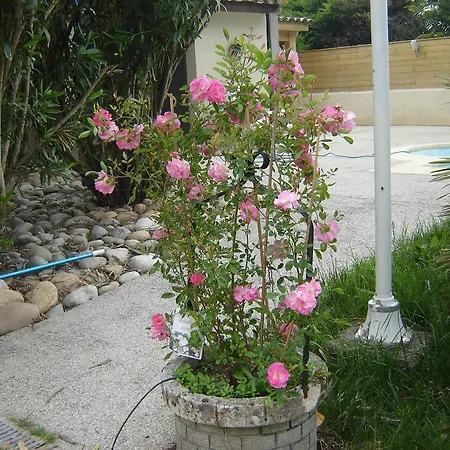 Les Galets D'evelyne Bed & Breakfast *